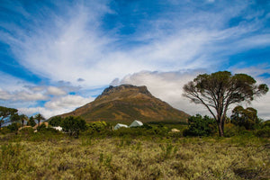 Ein Bild von einer Landschaft in Südafrika.