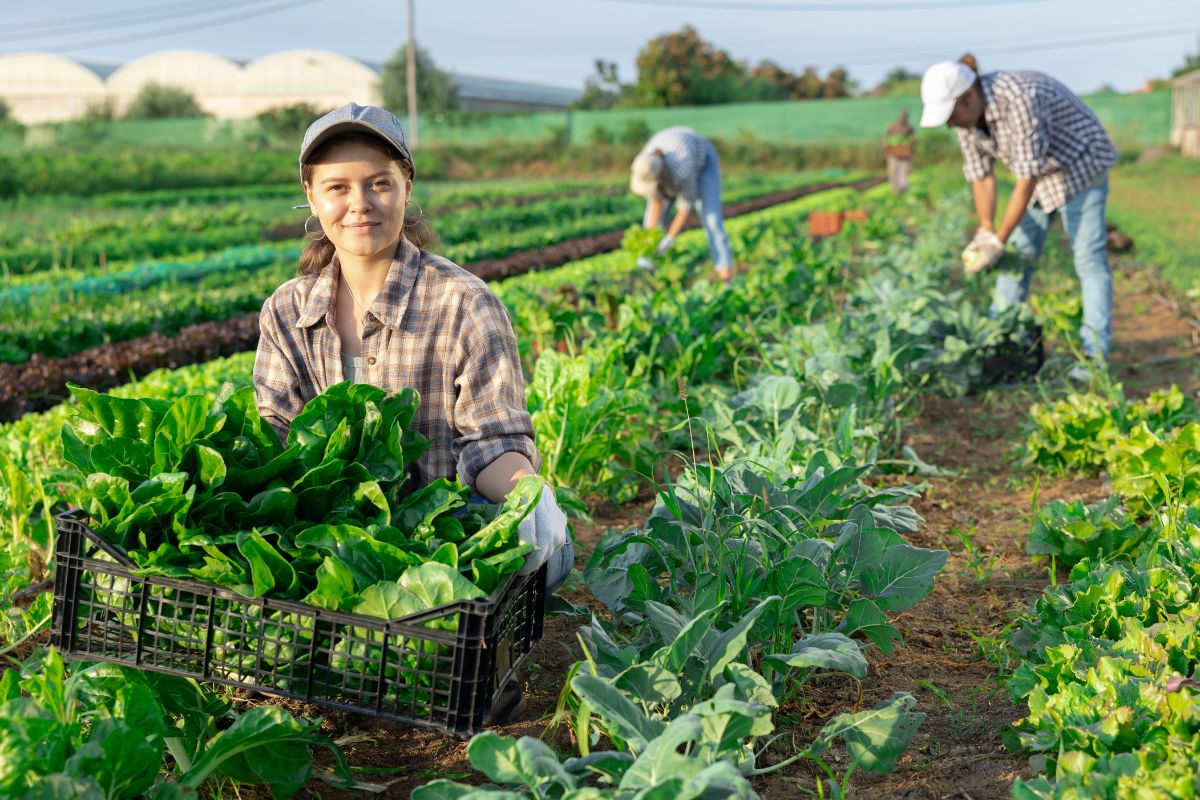 Die Biobranche zwischen Boom und Stagnation