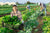 Die Biobranche zwischen Boom und Stagnation