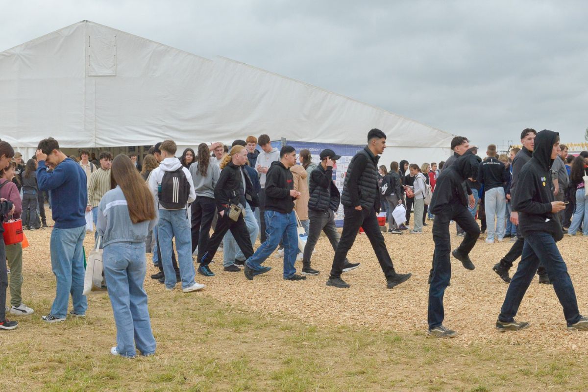 JOBNOX® Rhein-Lahn: Die Messe für Ausbildung, Karriere und regionale Wirtschaftskraft