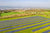 Eine Photovoltaikanlage auf einer grünen Wiese
