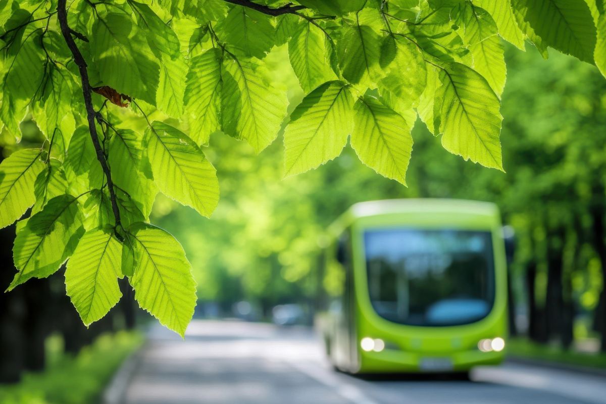 Grüne Blätter im Vordergrund, im Hintergrund ein grüner Bus, Symbol für umweltfreundliche Mobilität