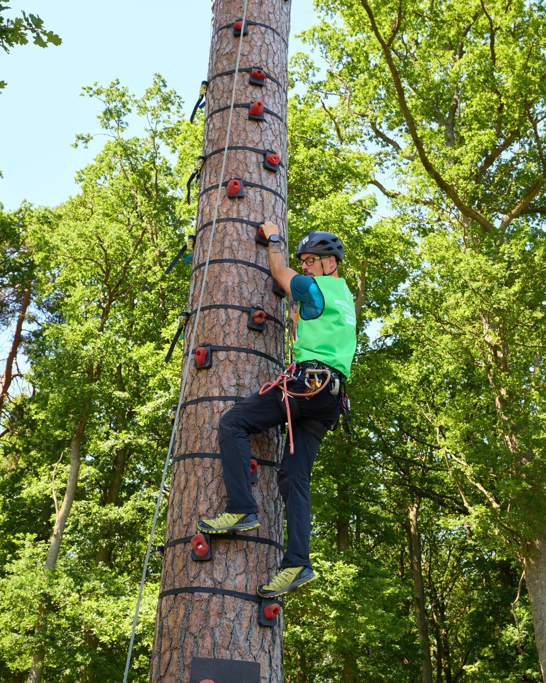 Person klettert gesichert an einem Kletterbaum im Tierpark Rheinböllen. Die Aktion wurde im Rahmen der Jobmesse „Jobs im Park“ angeboten.