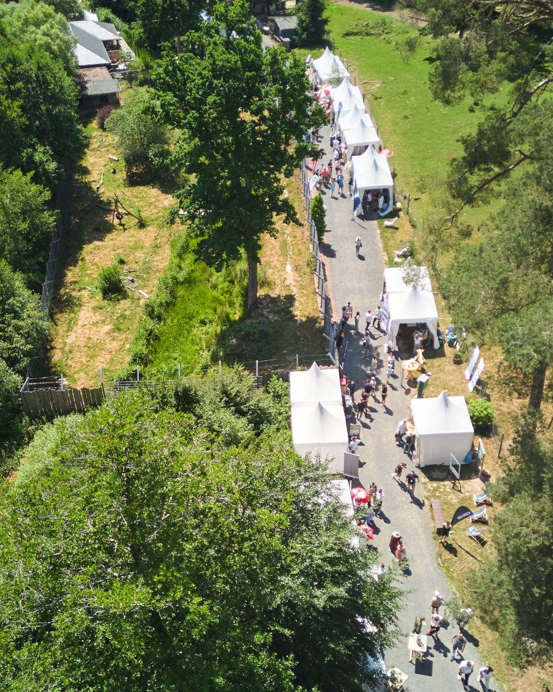 Luftaufnahme der Jobmesse „Jobs im Park“ im Tierpark Rheinböllen mit Ausstellerzelten, Besucherinnen und Besuchern entlang eines Weges durch das Parkgelände.