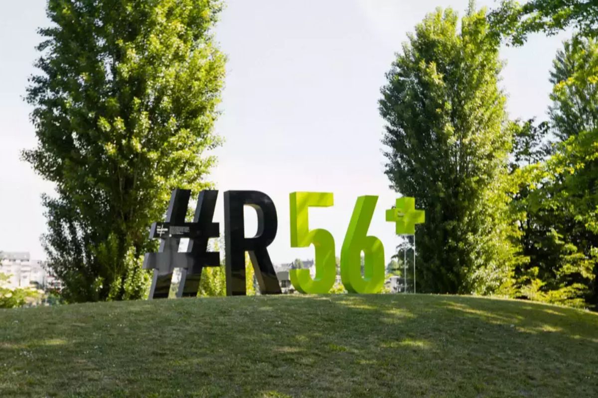 Das R56+ Logo auf einem grünen Hügel.