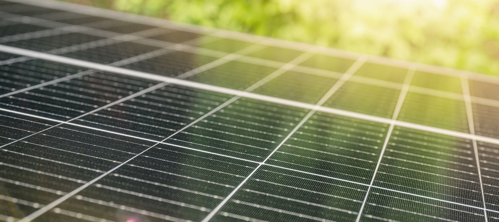 Nahaufnahme von Solarzellen im Freien, angeordnet in einem regelmäßigen Raster mit grüner Umgebung im Hintergrund