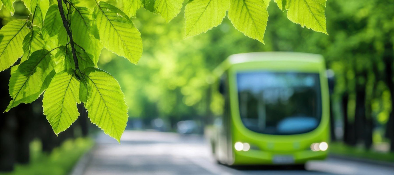 Grüne Blätter im Vordergrund, im Hintergrund ein grüner Bus, Symbol für umweltfreundliche Mobilität