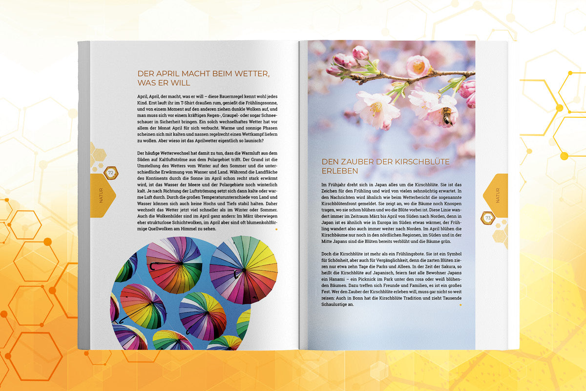 Summi - 99 Kindernachrichten