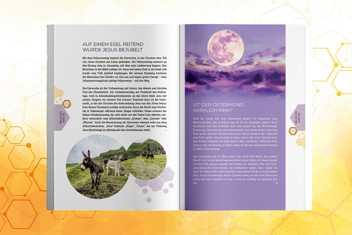 Summi - 99 Kindernachrichten